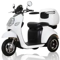 客約 捷馬科技 JEMA EX-1 48V鉛酸 LED天使光圈 液壓減震 三輪車 單座